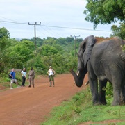 Tamale, Ghana