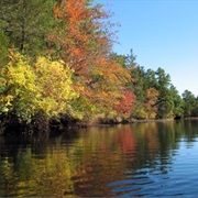 Wharton State Forest, New Jersey