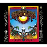 China Cat Sunflower - Grateful Dead