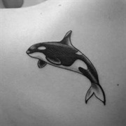 Orca