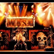 W.A.S.P.
