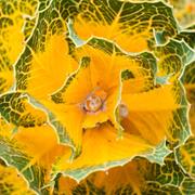 Frank Hann National Park (WA)