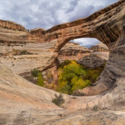 Natural Bridges National Monument, Utah