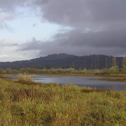 Ankeny National Wildlife Refuge