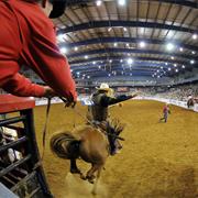 Mesquite Rodeo