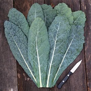 Lacinato Kale