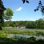 Blue Rock State Park, Ohio