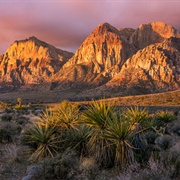 Mojave Desert, California