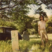 Ariel Pink's Haunted Graffiti - The Doldrums