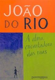 A Alma Encantadora Das Ruas