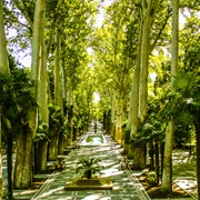 Khan's Garden, Ganja