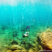Snorkle the Champange Reef, Dominica
