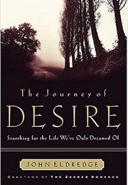 Journey of Desire (John Eldredge)