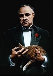 The Godfather Franchise (1972)