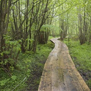 Östra Göinge Municipality