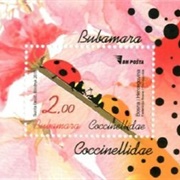 Bosnia Herzegovina~~Lady Bugs