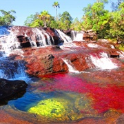 River of Five Colours - Columbia