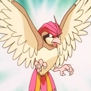 Pidgeotto