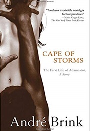 Cape of Storms (Andre Brink)