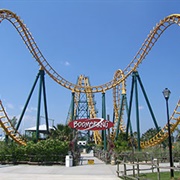 Boomerang (Wild Adventures)