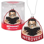 A Holiday Introvert