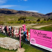 Cardrona Bra Fence, New Zealand
