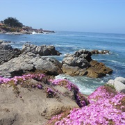 Pacific Grove, California