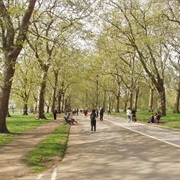 Hyde Park (London, England)