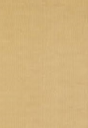 Rendezvous at Zagarella (Berta Ruck)