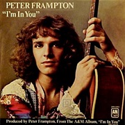I'm in You - Peter Frampton