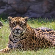 Corrientes, Argentina