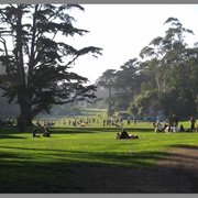 Golden Gate Park - San Francisco, CA