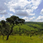 Ruvubu National Park, Burundi