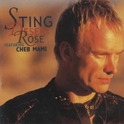 Desert Rose - Sting