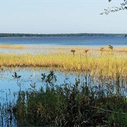 Lake Waccamaw State Park, North Carolina