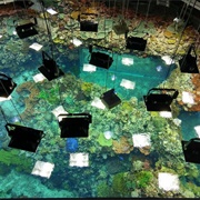 Burgers' Ocean, Netherlands