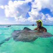 Interact With Sting Rays in the Caribbean