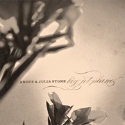 Angus & Julia Stone, "Big Jet Plane"