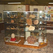 La Ferme Aux Fossiles, Saulges