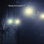 Hatchery