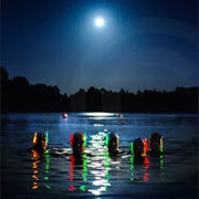 Midnight Swimming