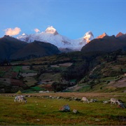 Pachacoto Gorge, Peru