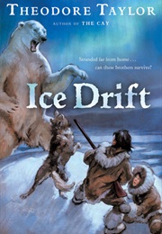 Ice Drift (Theodore Taylor)