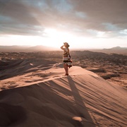 Explore Athabasca Sand Dunes