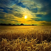 Visit the Canadian Prairies