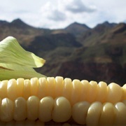 Peruvian Corn