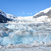 Columbia Icefield Athabasca Glacier (Canada)