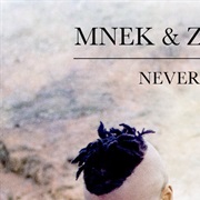 Never Forget You - Zara Larsson Ft. MNEK