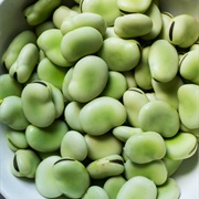 Broad Bean / Fava Bean (Vicia Faba)