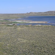 War Horse National Wildlife Refuge
